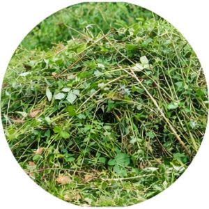 Déchets de tailles de haies