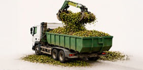 Chargement immédiat de vos végétaux