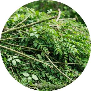 Déchets de tailles de haies