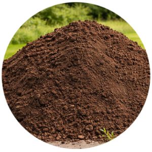 Terre végétale à évacuer dans une benne